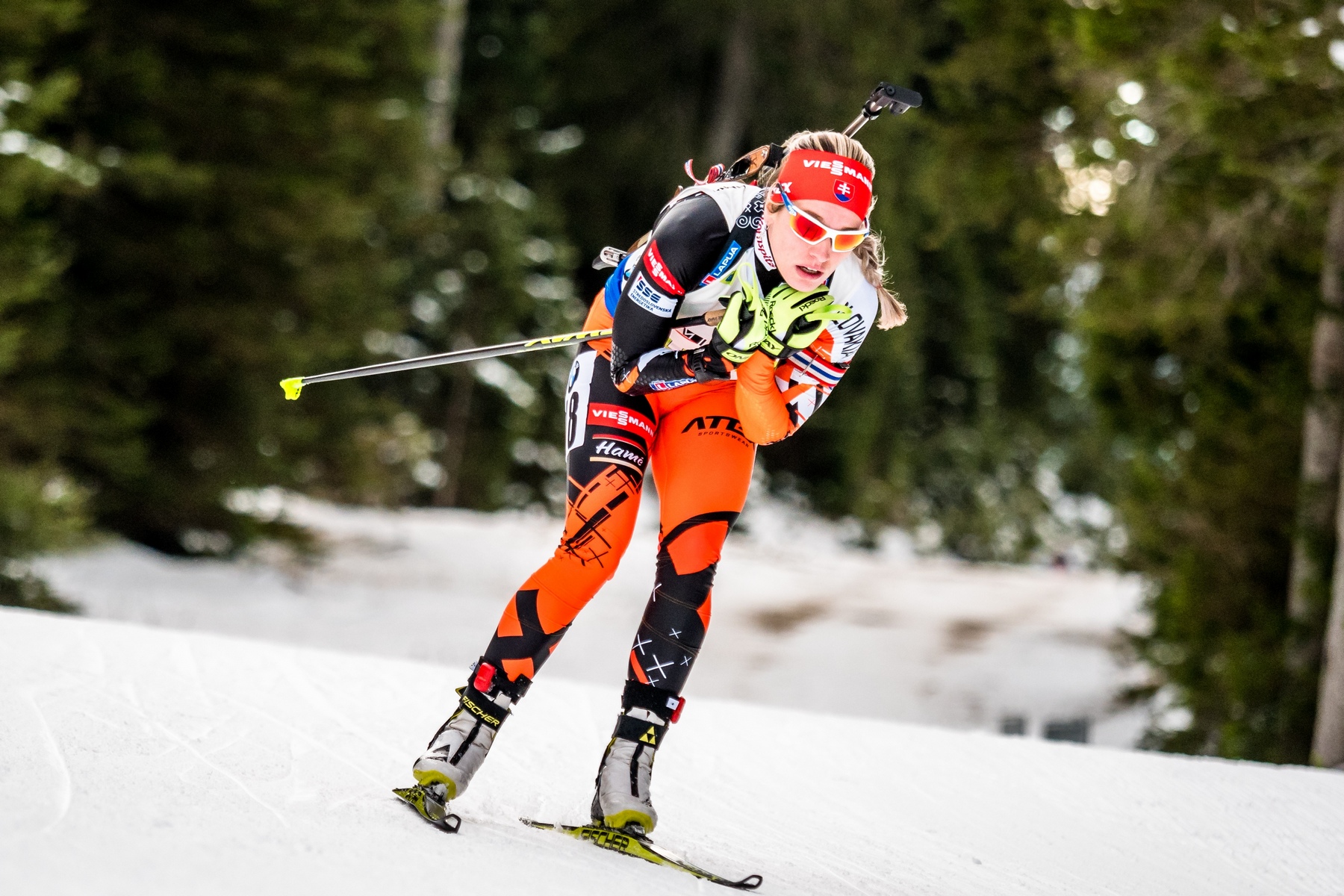 fialkova 2016 pokljuka zjazd bi slavik