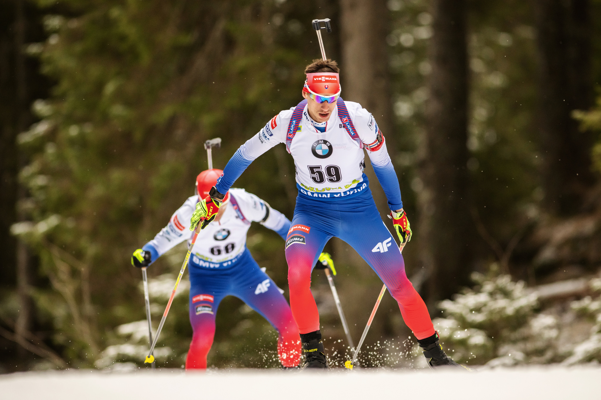 hasilla 19 pokljuka trat 2 sta